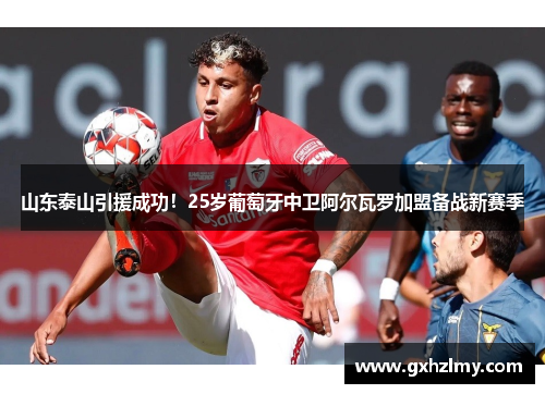 山东泰山引援成功！25岁葡萄牙中卫阿尔瓦罗加盟备战新赛季